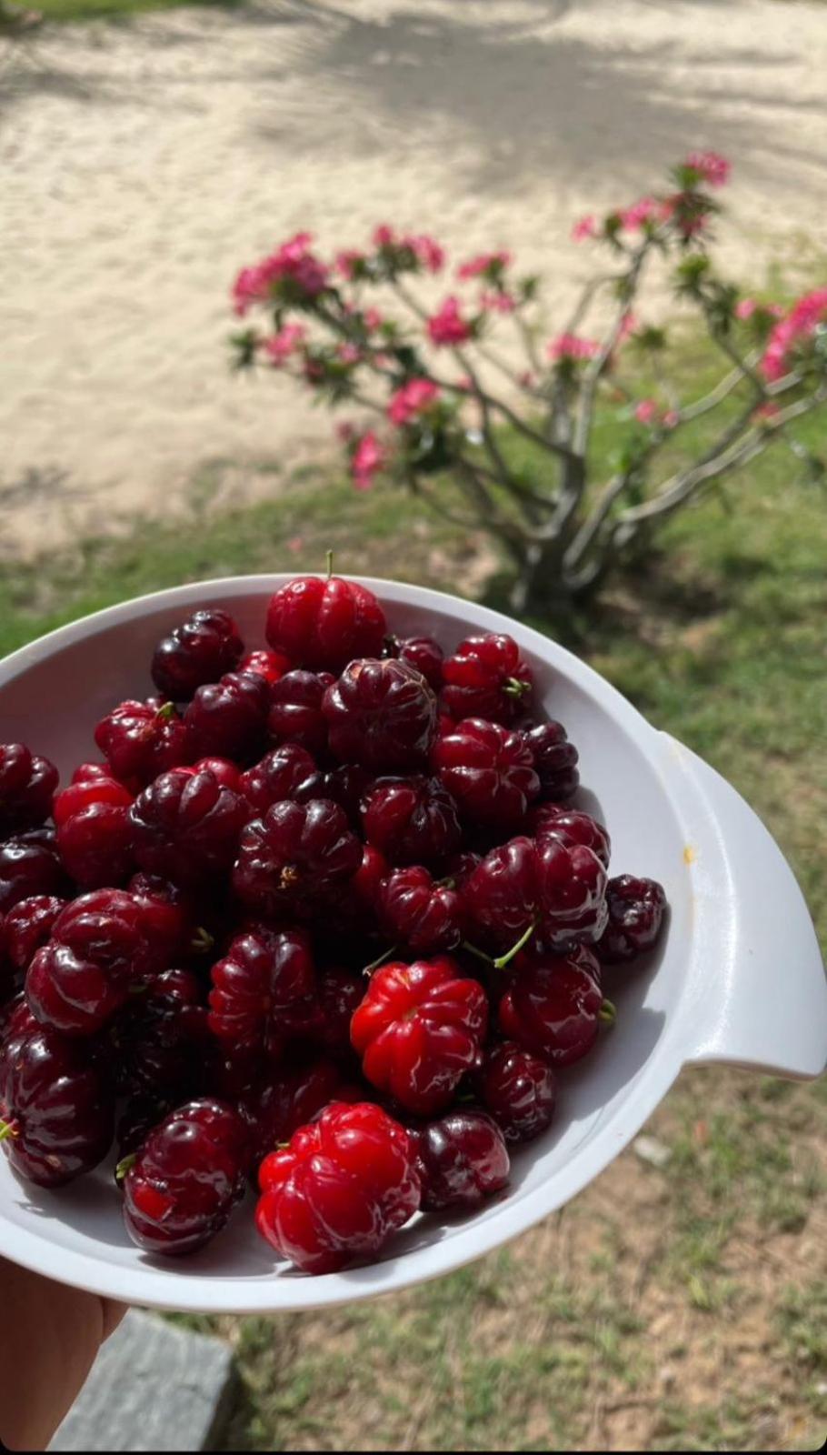 Vila Ybira 타이바 외부 사진